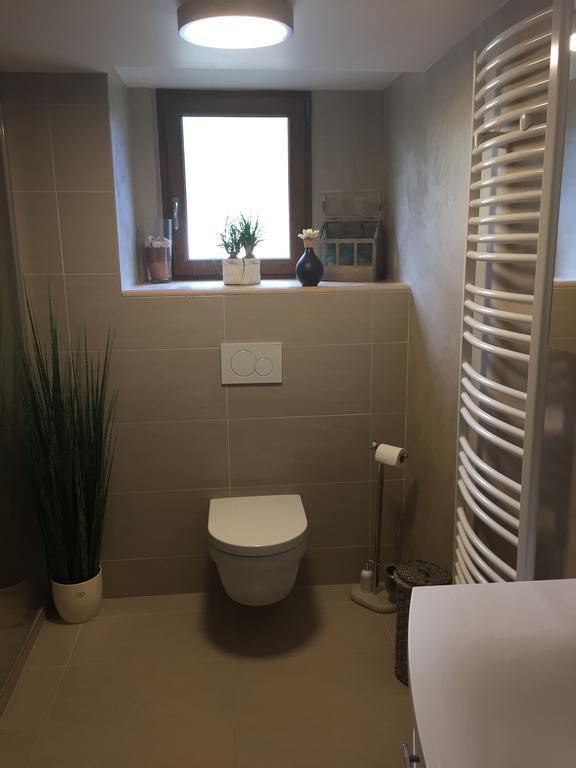 Les Hirondelles Apartamento Wintzenheim Exterior foto